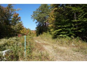 Private NH Property