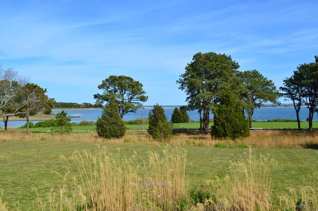 Martha's Vineyard scenic view of grass land with ocean in the back