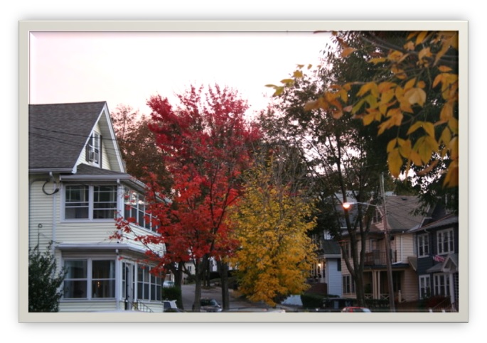 Belmont MA Real Estate