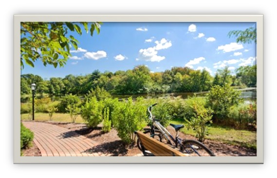 Canton MA Real Estate
