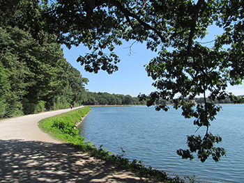 Chestnut Hill Reservoir