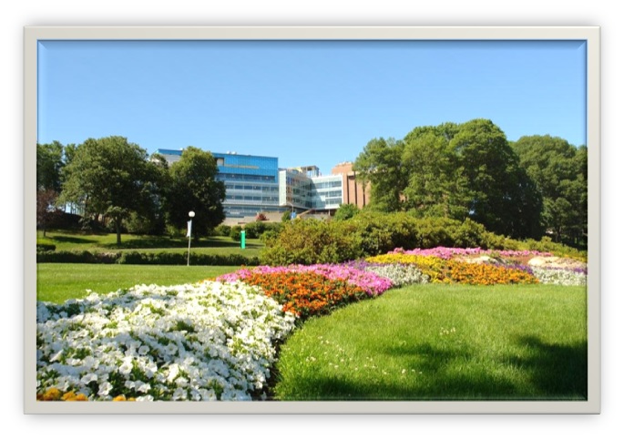 Waltham MA Real Estate