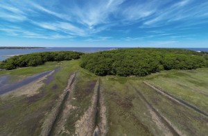 DCIM100GOPRO