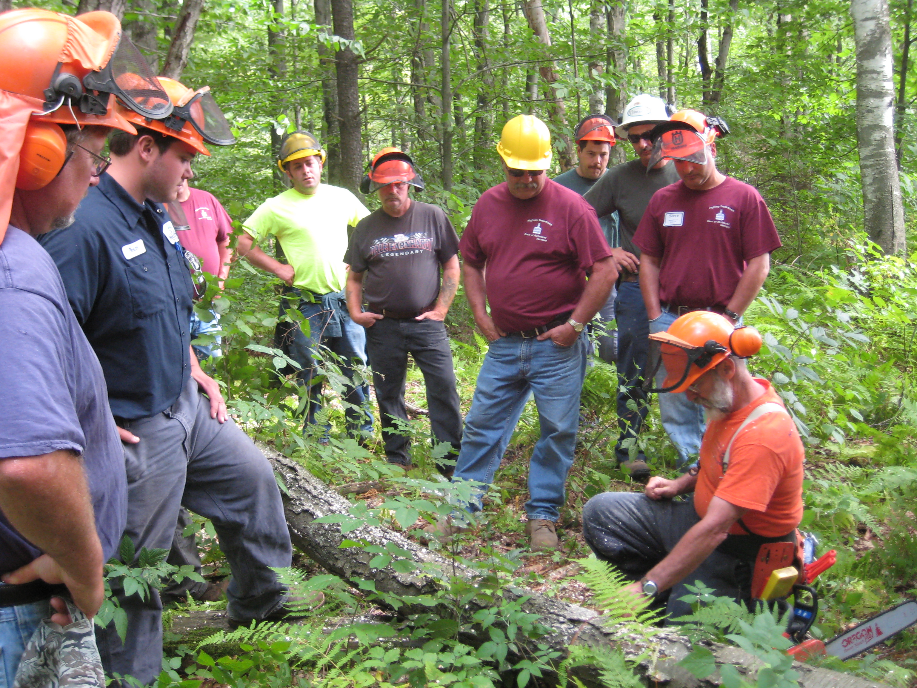 Starksboro Chain Saw Workshop, Addison County