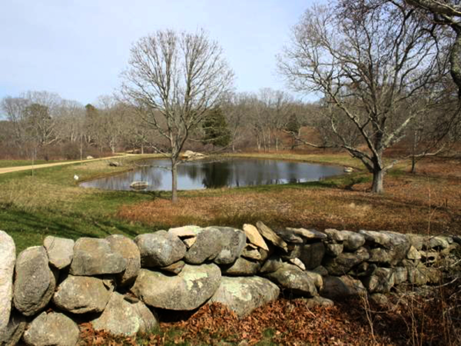 Martha's Vineyard Real Estate