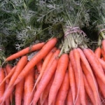 Carrots Burlington Farmers Market