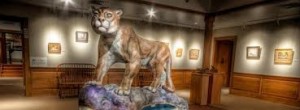 catamount