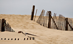 Head of the Meadow Beaches
