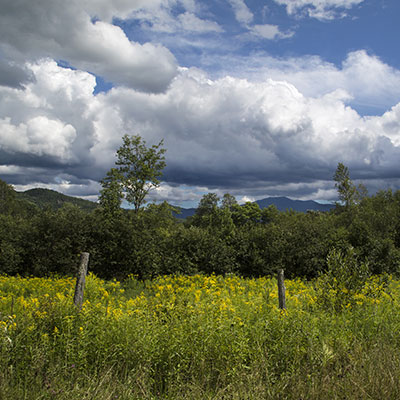 Loon Area Land during the spring overlooking a mountain range