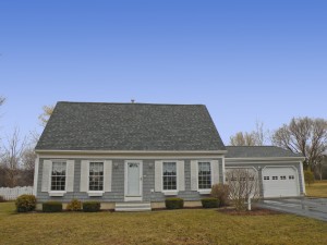 Oddy Mud Season SMALL