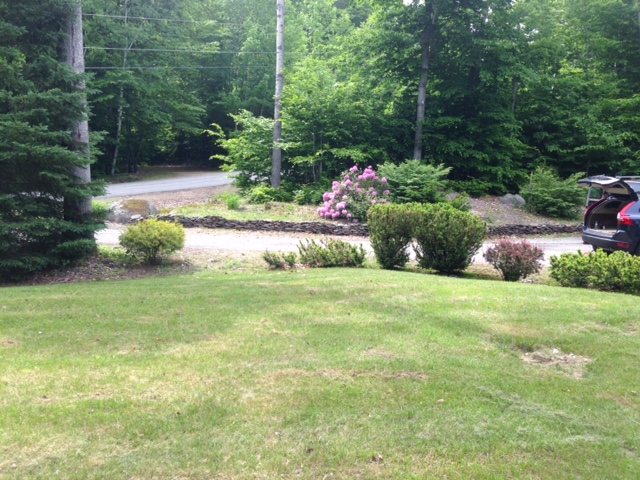 NH backyard