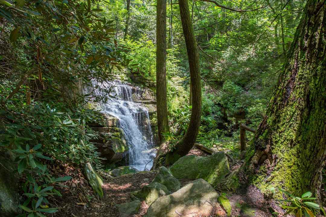 Gateway Mountain Community Real Estate North Carolina Greybeard