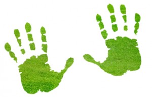 greenhands