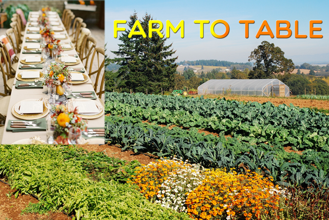 farmtotable