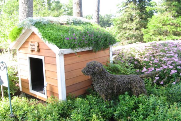 Farms and Gardens in Strange Places