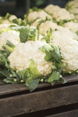 How to Grow Cauliflower in Containers