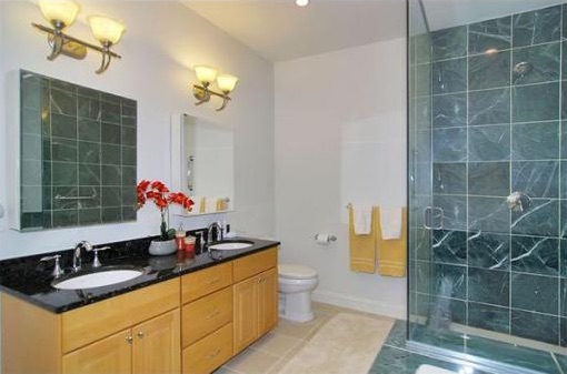 Johnson Woods Reading MA Bathroom