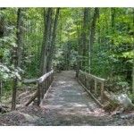 290 meredith neck bridge over stream
