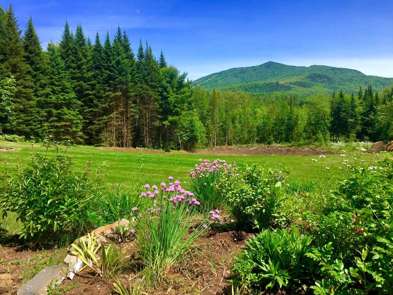 287 Walker Road Burke VT