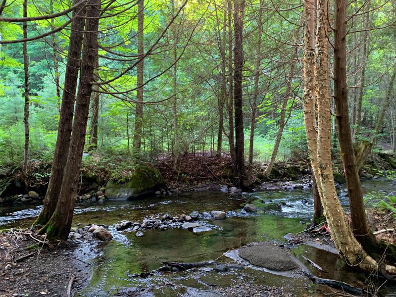 Peacham Hollow Brook Peacham VT