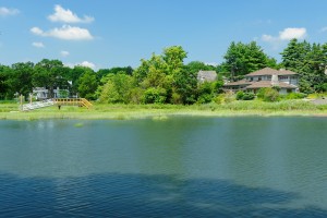 4CoveRidgeLn32-edPRINT