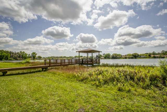 odessa - wetlands