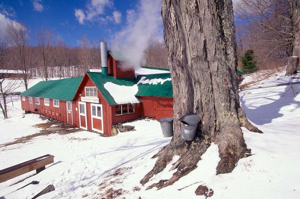Maple syrup sugar house Massachusetts