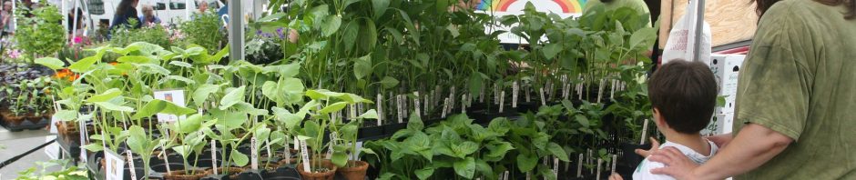 Greenfield Farmers' Market Massachusetts
