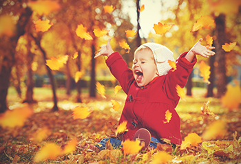 Fall Leaves