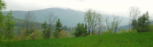 MIsty Afternoon Mountain Views in Weston, VT