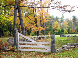 Gate way and stone walls in southern New Hampshire