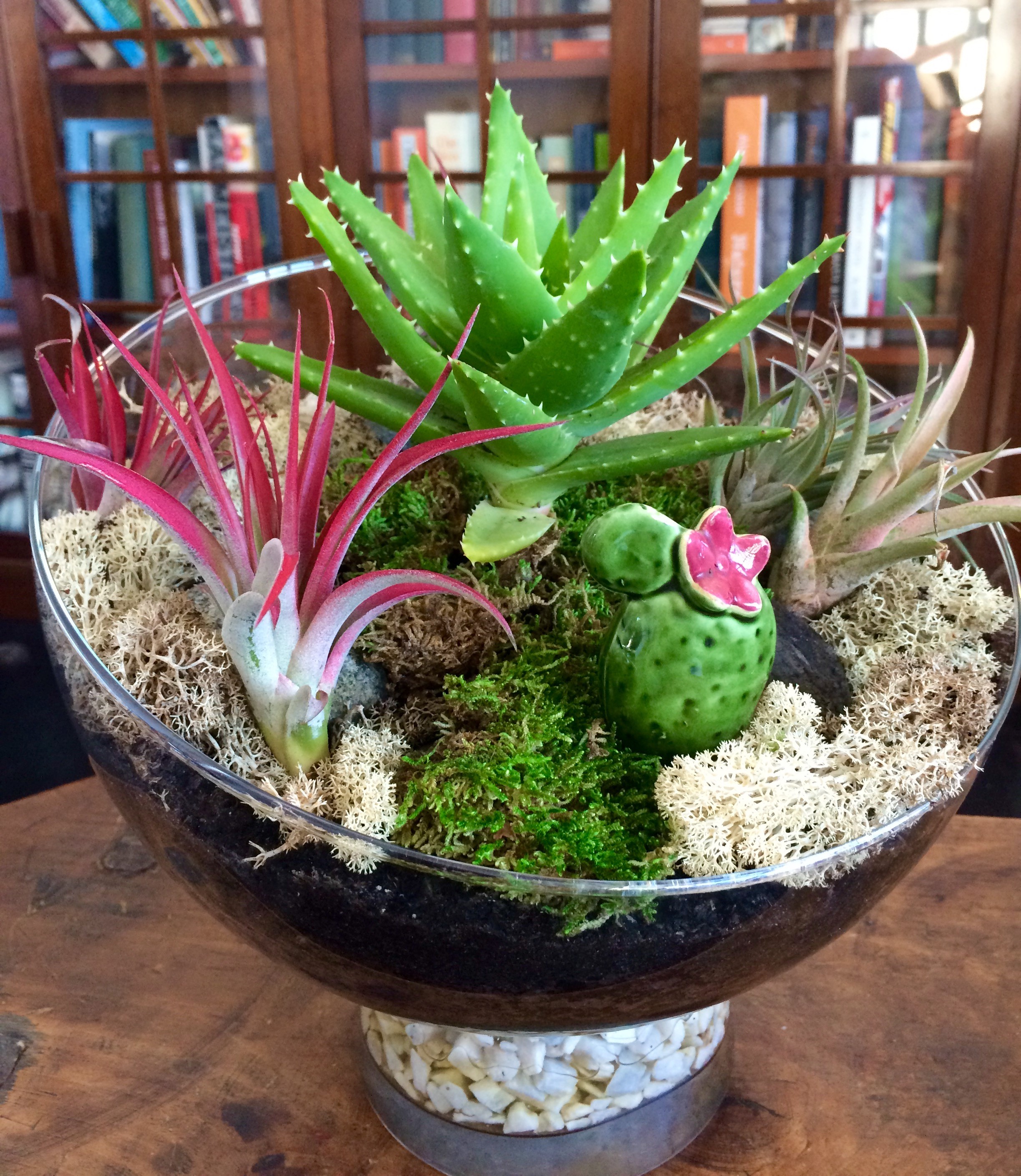 Photo courtesy of Audra M. Viehland