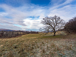 Acreage in Lakeville CT