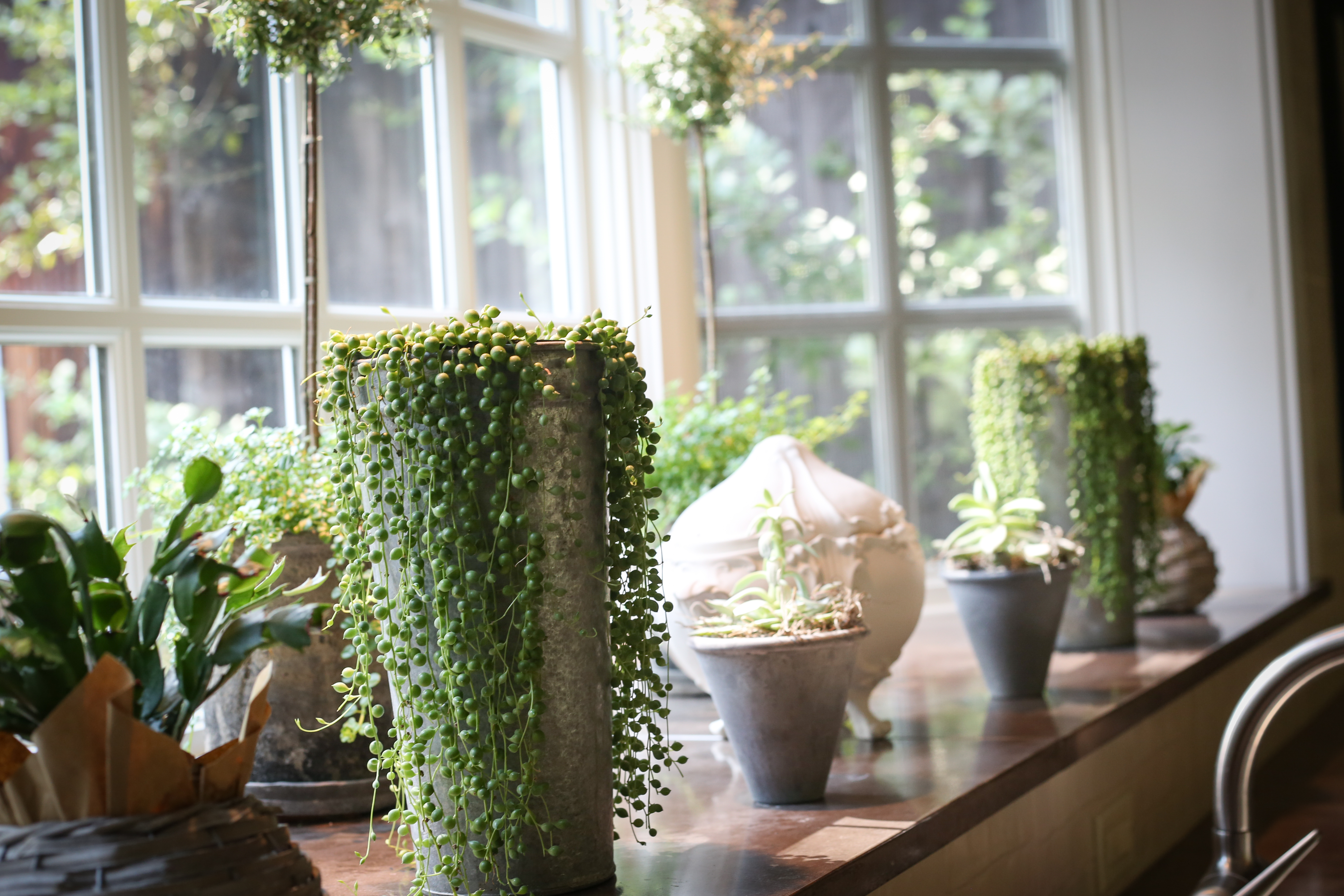 A lovely Window Ledge in the Matthews Home