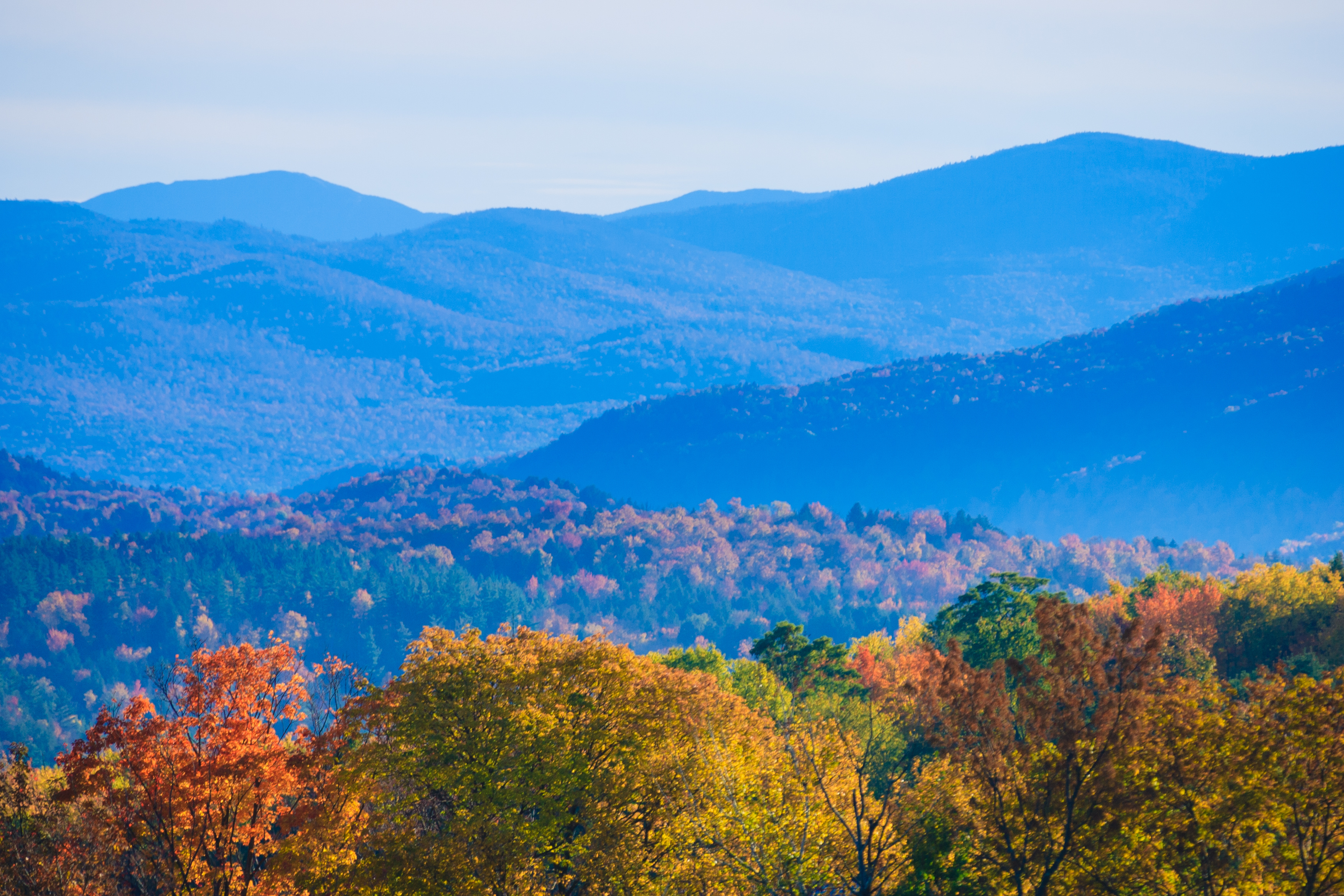 Fall in Montpelier VT