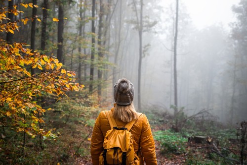 Hiking in the Fall in Vermont