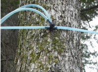 Making Maple Syrup in Vermont