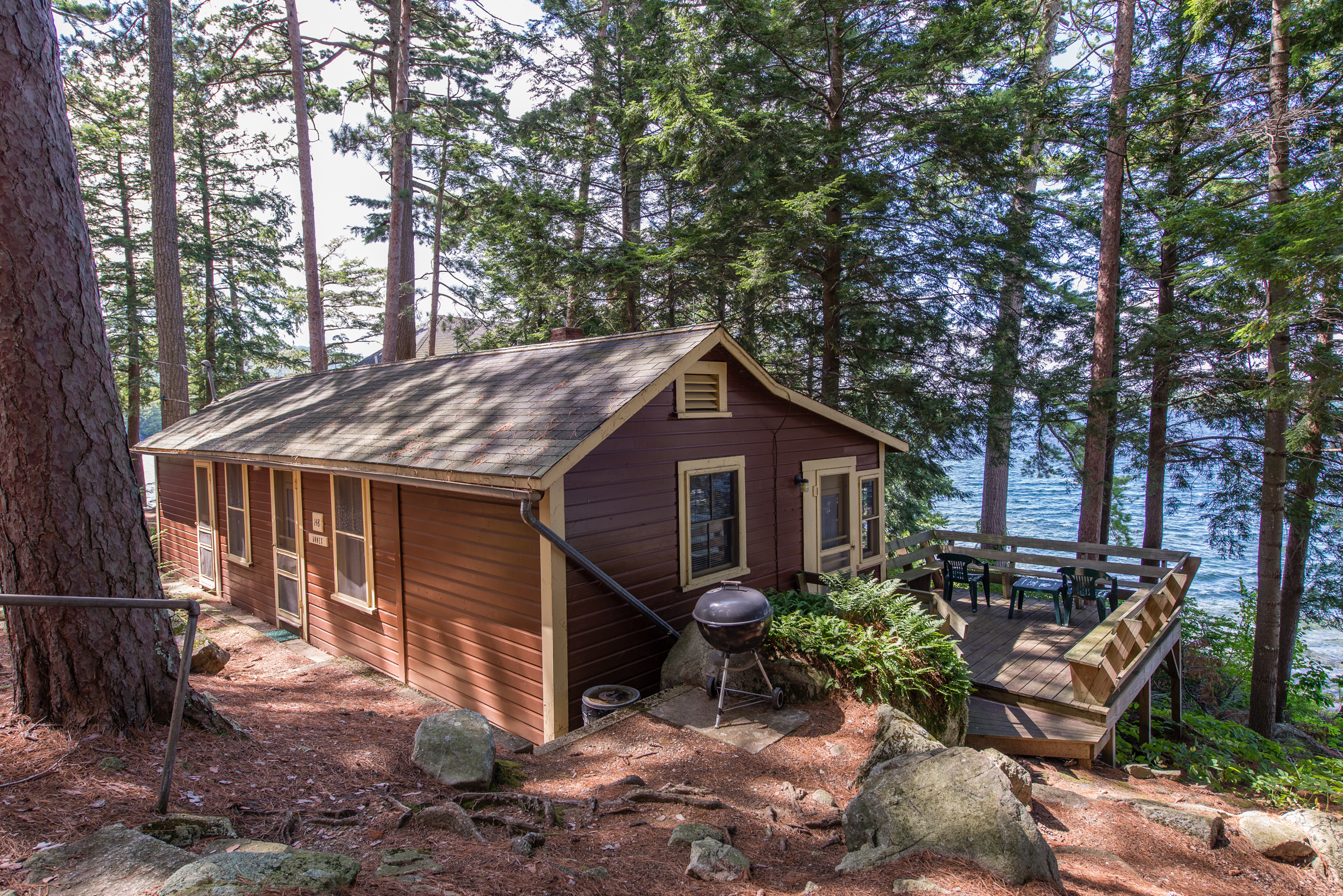 Lower Beech Pond Real estate for sale - lakefront nh home