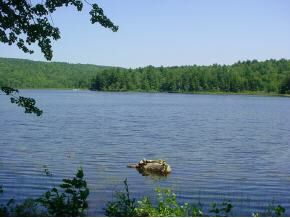 Crystal Lake Real Estate Nh Lakefront Real Estate