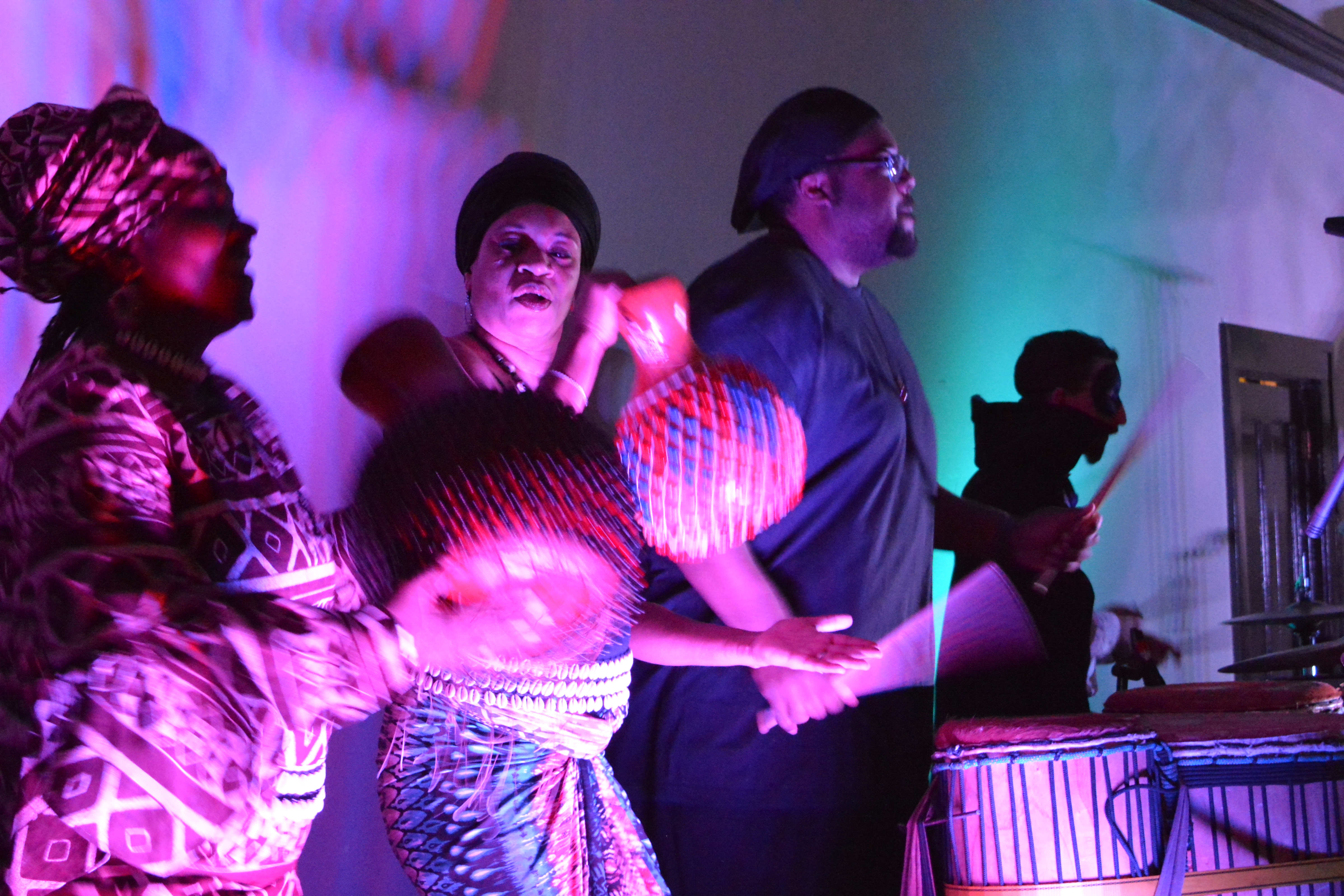 Asheville Arts Council Color Ball