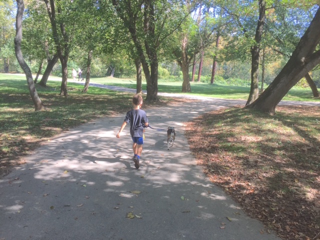 Asheville Dog Park