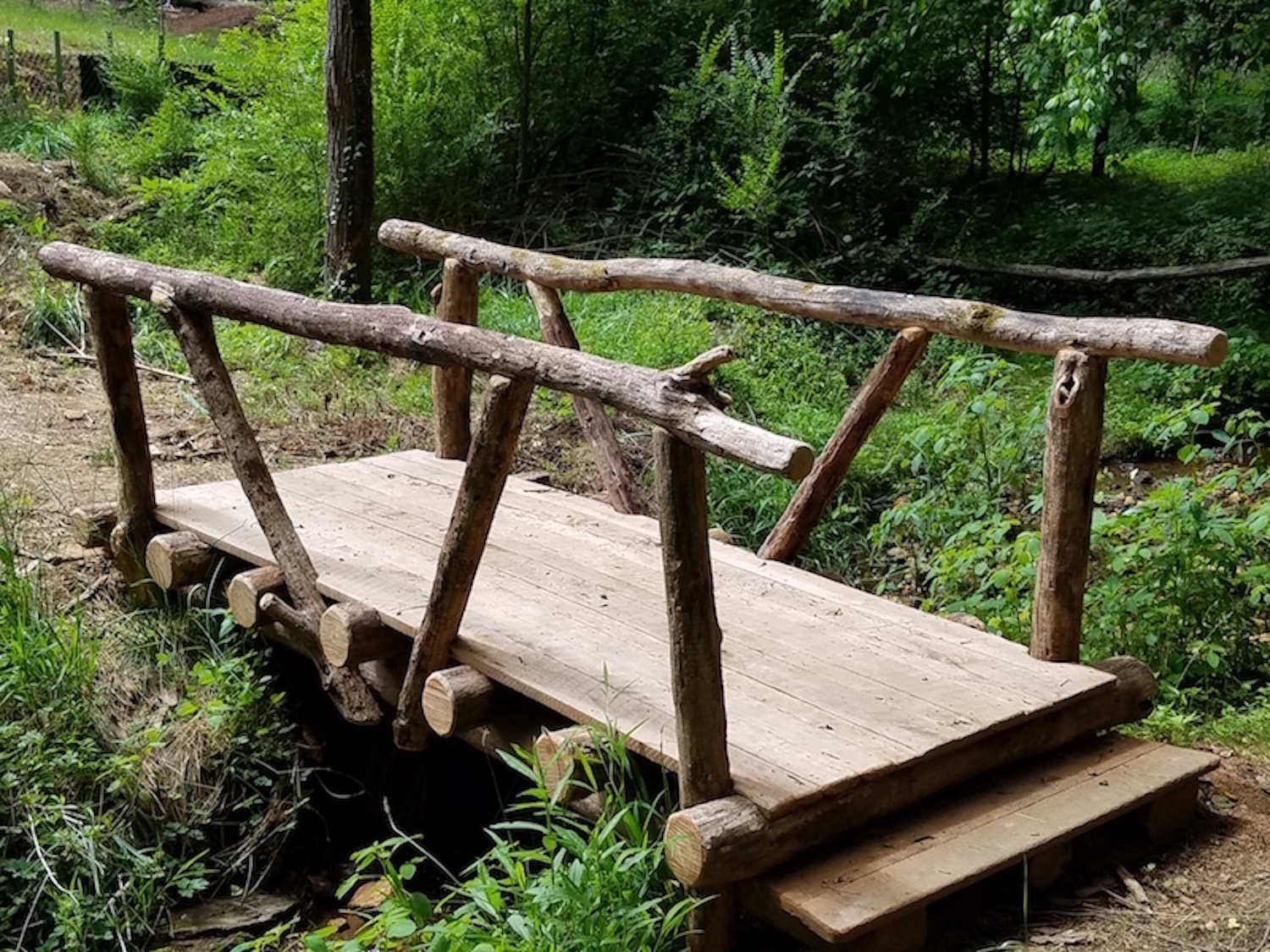 Craggy Park Walking Trails and Bridge