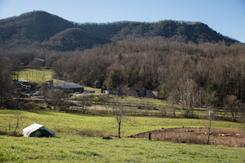 Fairview NC Farmland