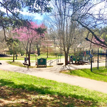 Malvern Hills Park West Asheville