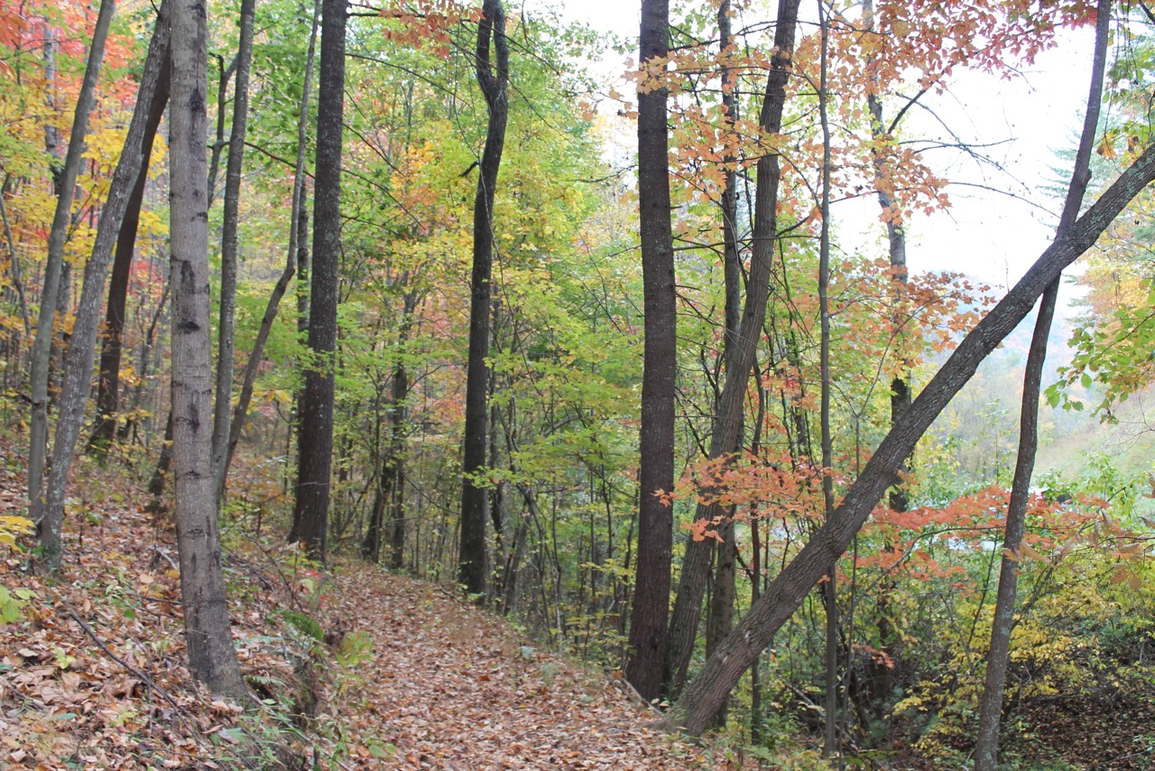 Walking Trails in Asheville