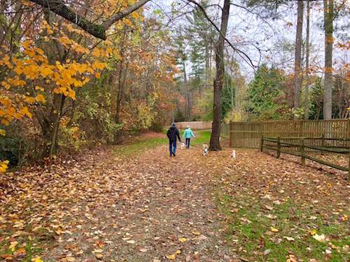 Walking Trails at Biltmore Lake