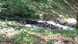 Home with a Stream