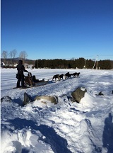 Snowshoeing Upper Valley