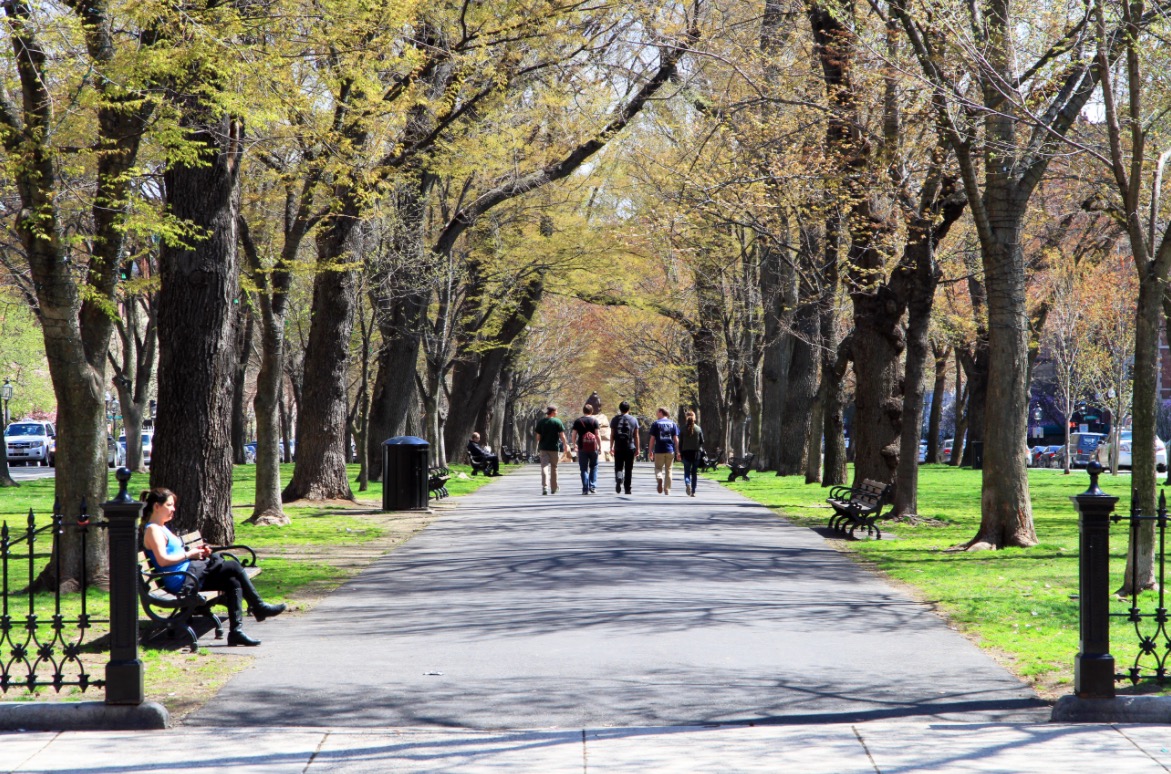 All back bay homes and condos within minutes of Commonwealth Ave and the Botanical Gardens