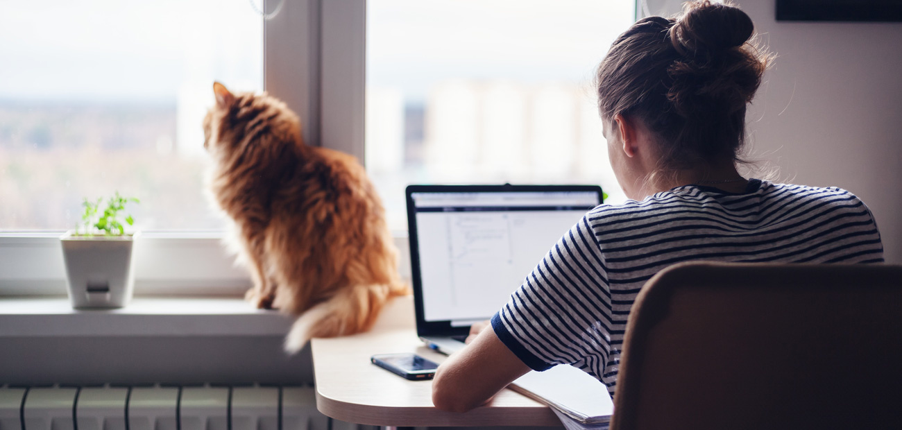 woman on laptop with her cat